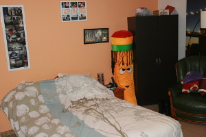 Kot 2 - Illustration 1