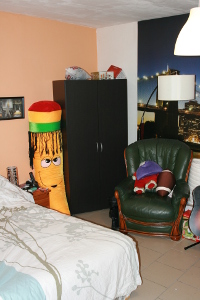 Kot 2 - Illustration 6