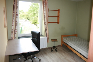 Kot 3 - Illustration 1