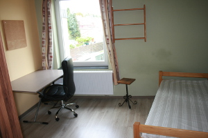 Kot 3 - Illustration 2