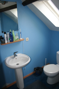 Kot 4 - Illustration 2