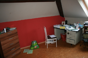 Kot 4 - Illustration 3