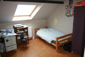 Kot 4 - Illustration 4